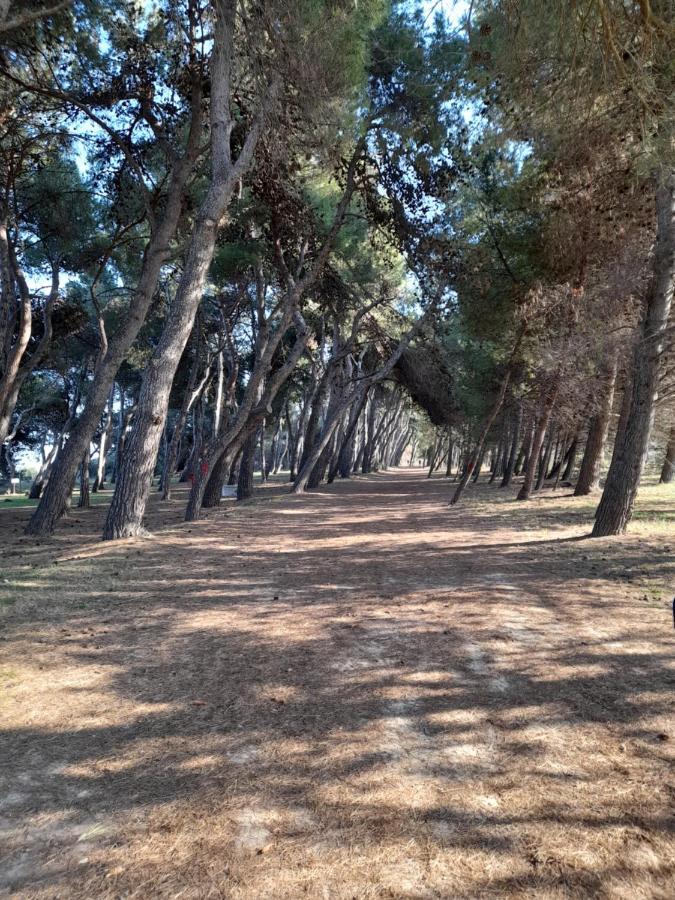 Bouganville Casa Vacanza Ambiente Climatizzato Con Wi Fi Pineto Eksteriør billede