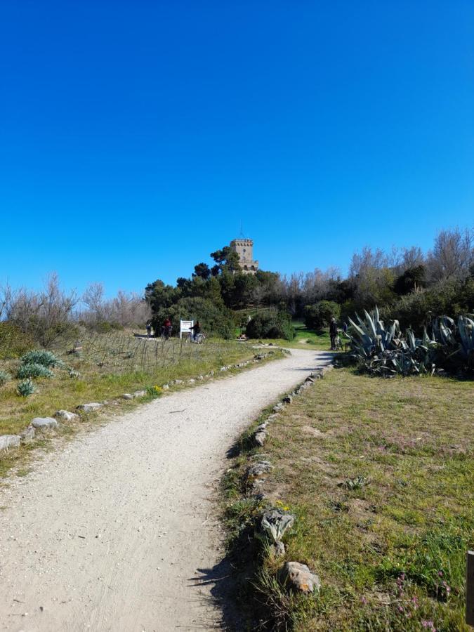 Bouganville Casa Vacanza Ambiente Climatizzato Con Wi Fi Pineto Eksteriør billede
