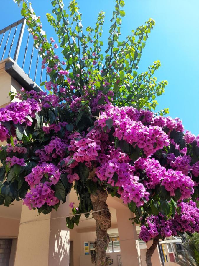 Bouganville Casa Vacanza Ambiente Climatizzato Con Wi Fi Pineto Eksteriør billede