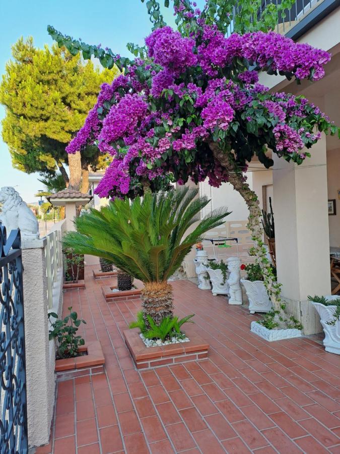 Bouganville Casa Vacanza Ambiente Climatizzato Con Wi Fi Pineto Eksteriør billede