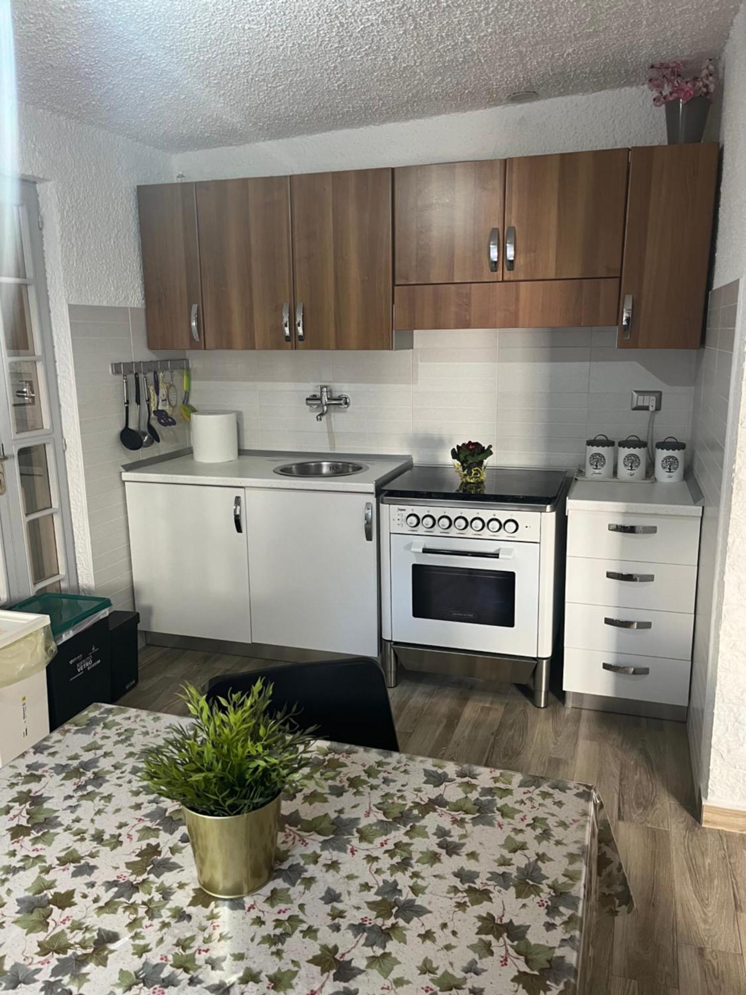Bouganville Casa Vacanza Ambiente Climatizzato Con Wi Fi Pineto Eksteriør billede